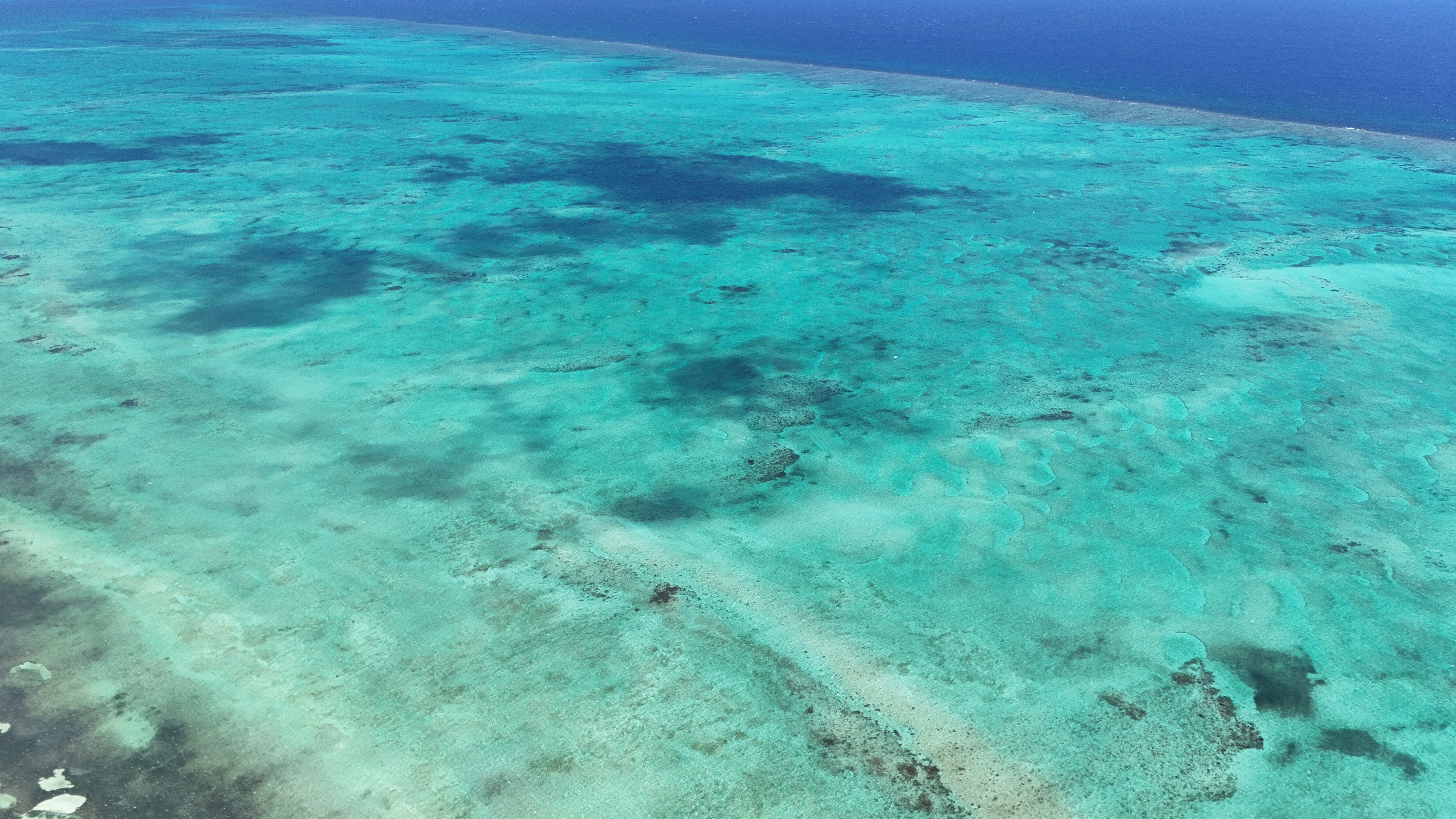 Reef
