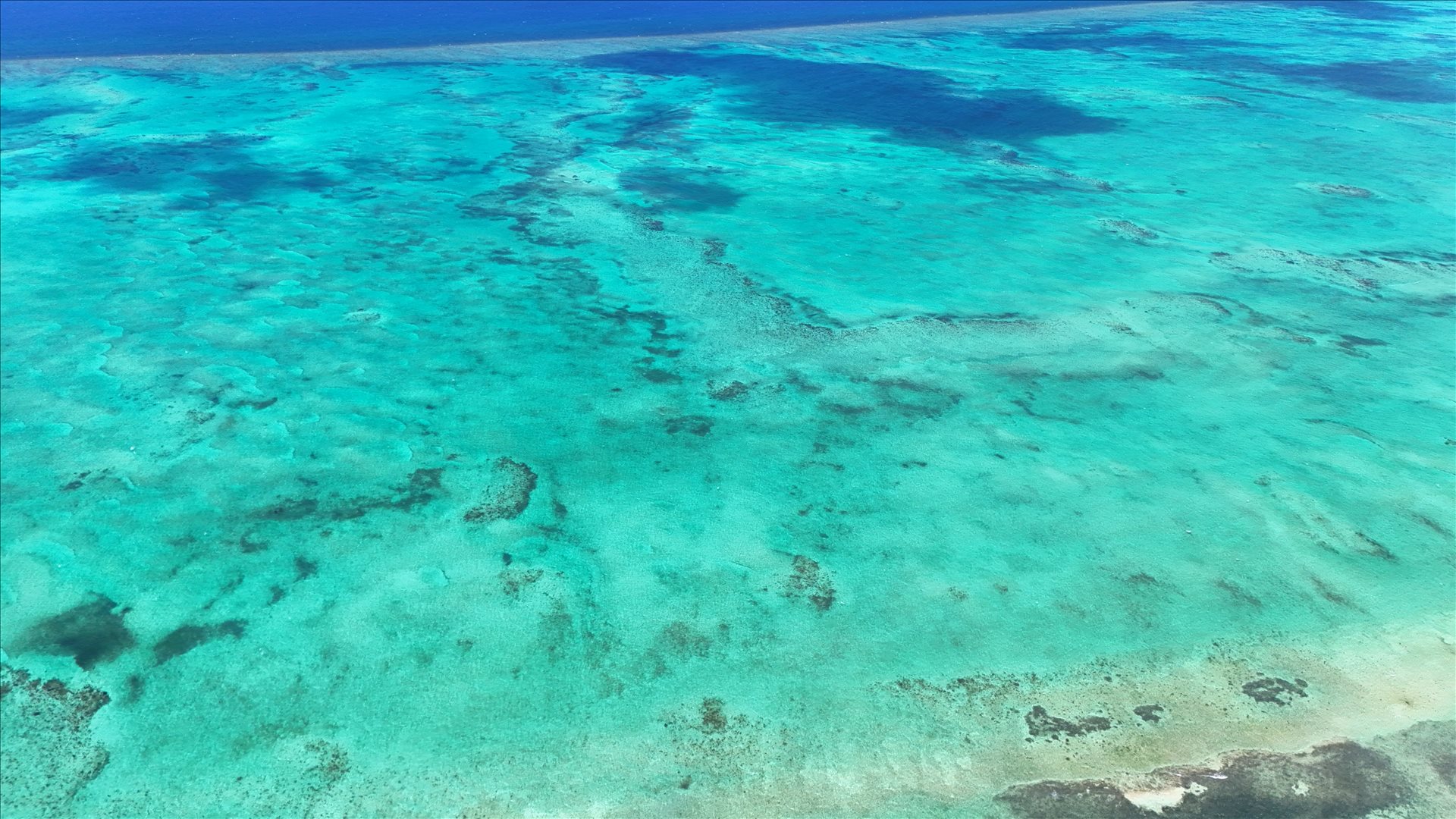 Reef